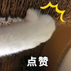 绝地求生打野_绝地求生打野_绝地求生打野是啥意思