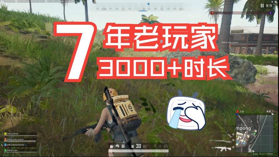 求生绝地黑号怎么解决_绝地求生黑号_求生绝地黑号是什么