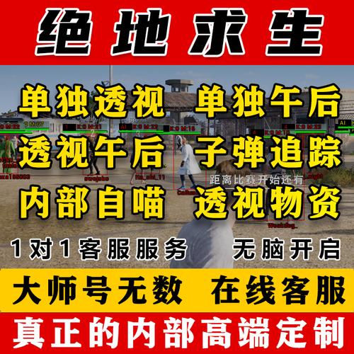 绝地求生辅助多少钱