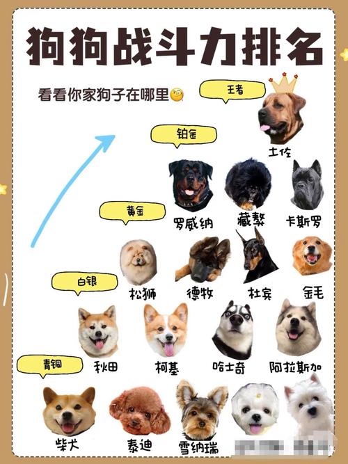 绝地求生操作