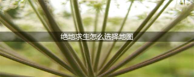 绝地求生海岛地图