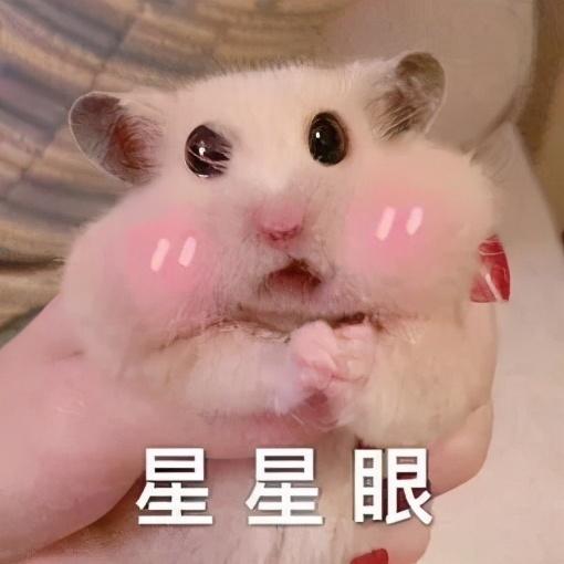 黑号卡盟