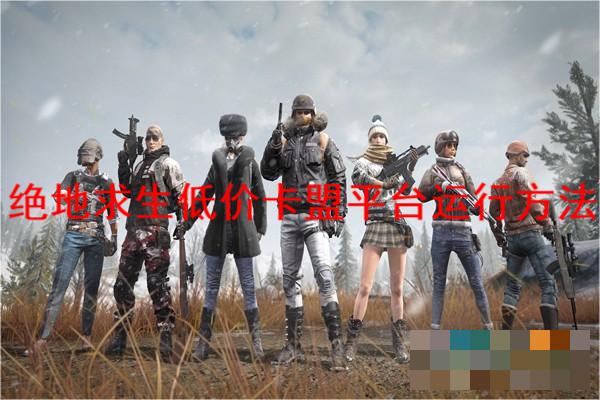 绝地求生卡盟