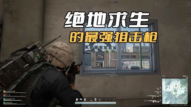 绝地求生最强枪配