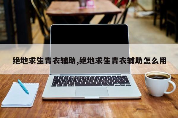 绝地求生辅助怎么用