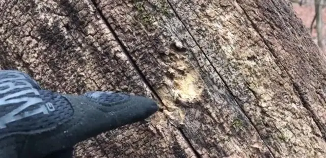 绝地求生枪械