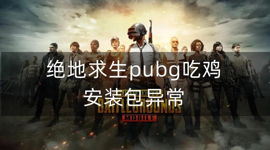 绝地求生辅助怎么用