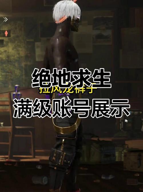 绝地求生黑号