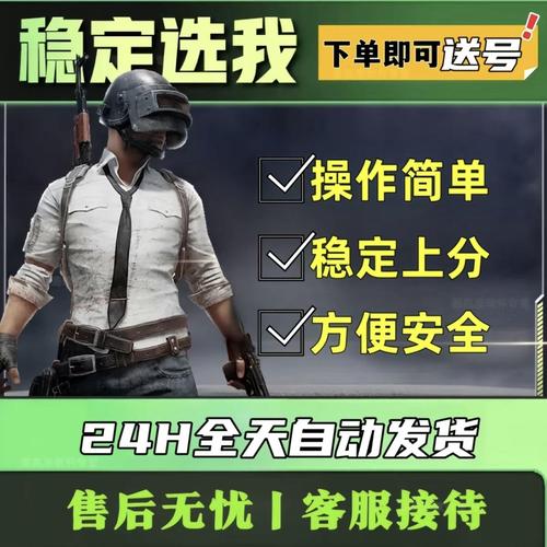 绝地求生辅助怎么用