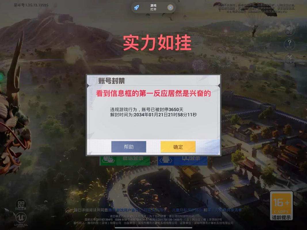 吃鸡辅助